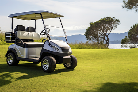 Golf cart lithium batteries
